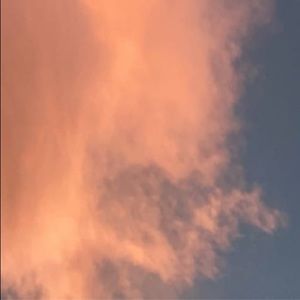 Meet your Posher, Eden